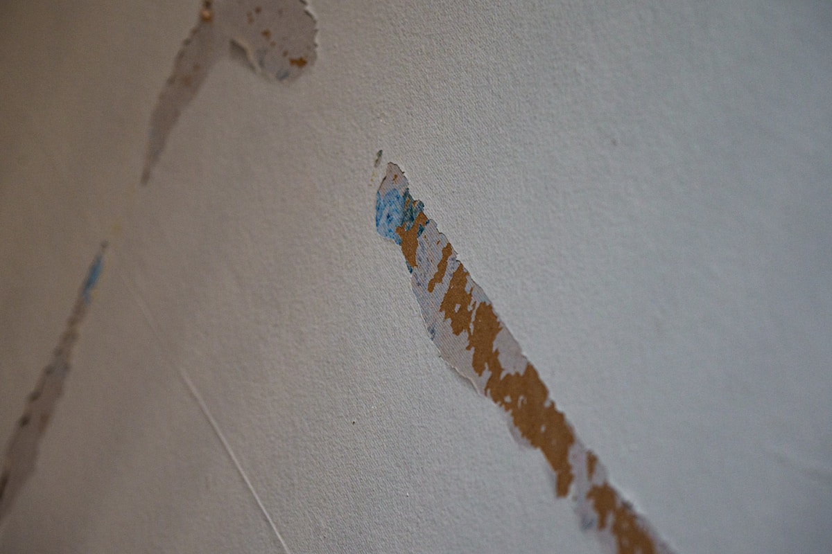 Mold Remediation service in Midwest City, OK